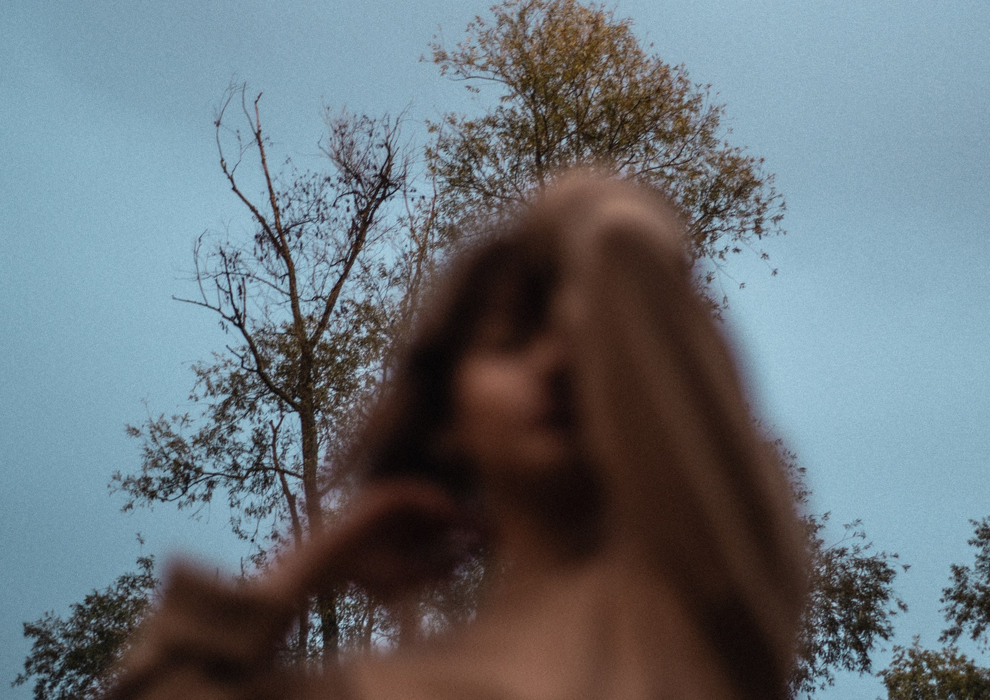 Figura sfocata e alberi sullo sfondo